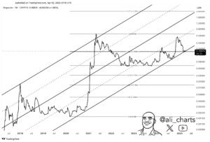 DOGE-Bullen visieren Kursanstieg von 250 % an – diese Voraussetzungen müssen erfüllt sein image 0