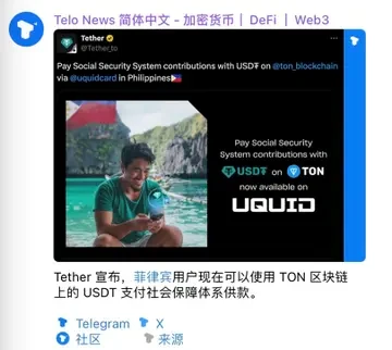 The Ton ecosystem has strong potential, but it may be difficult for large VCs to enter the market image 9
