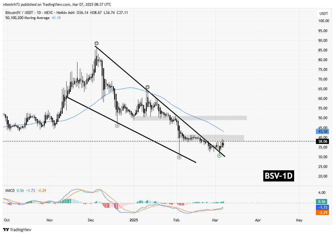 BSV Gains Momentum With Key Breakout and Retest – Can IOTA Do the Same? image 1