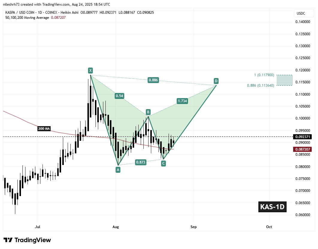 Kaspa (KAS) To Rise Higher? Key Harmonic Pattern Signals Potential Upside Move image 1