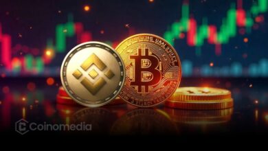 BNB dan BTC Menunjukkan Sinyal Divergensi Bullish Tersembunyi