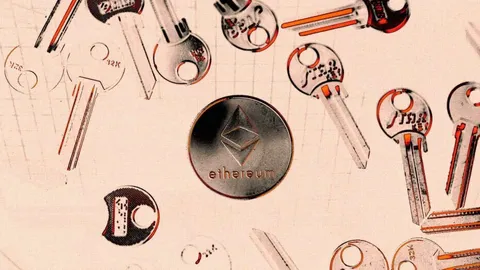 Bitwise discloses ENS addresses for spot Ethereum ETF holdings