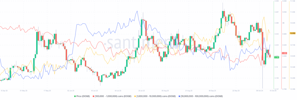 DOGE News: Wale steigen in Dogecoin ein, doch dieses Level muss der Preis halten, um auf 0,33 US-Dollar zu steigen