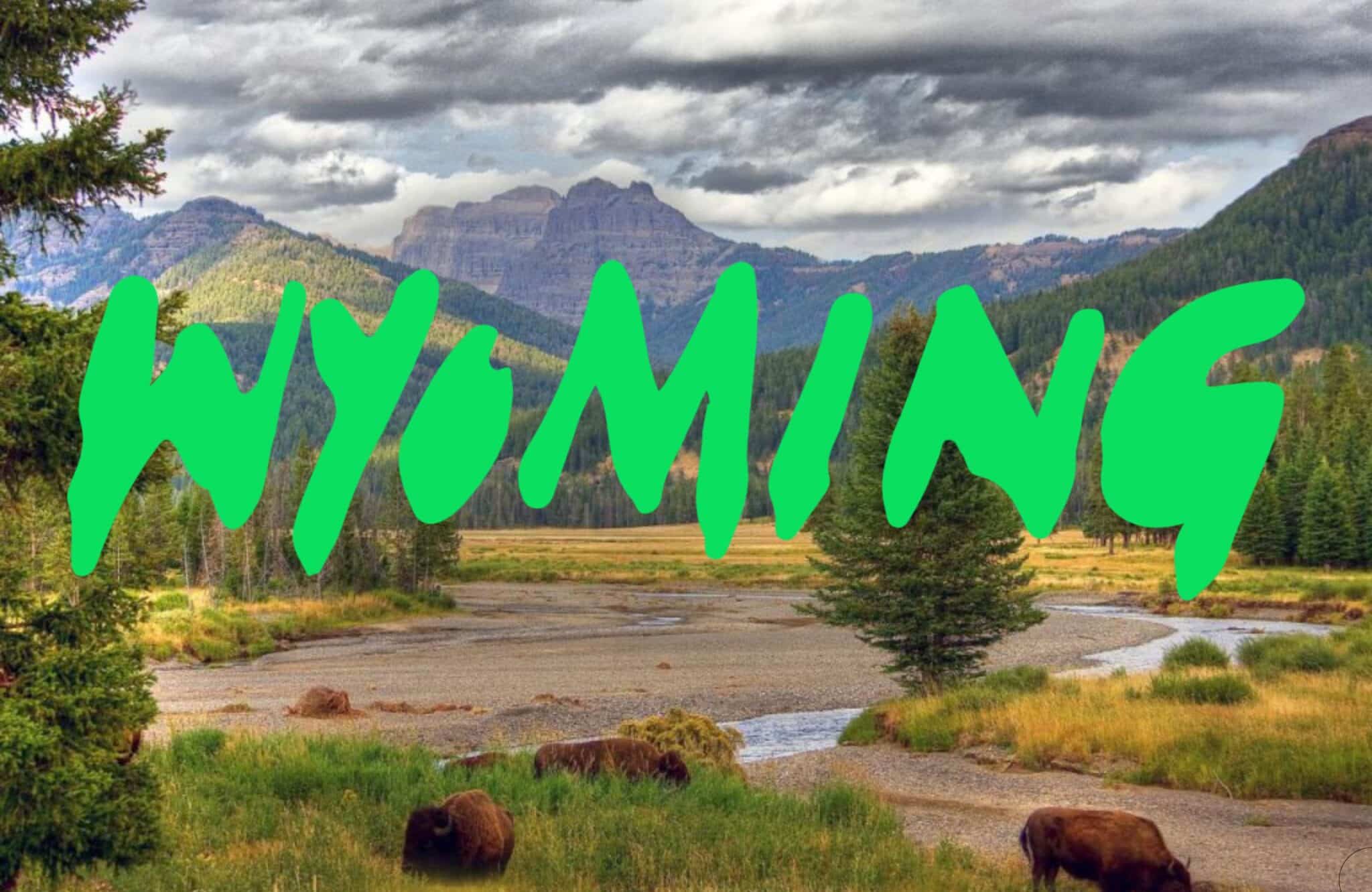 Wyoming Stablecoin: Are Stablecoins About to Kill Federalization? WYST Crypto Launch
