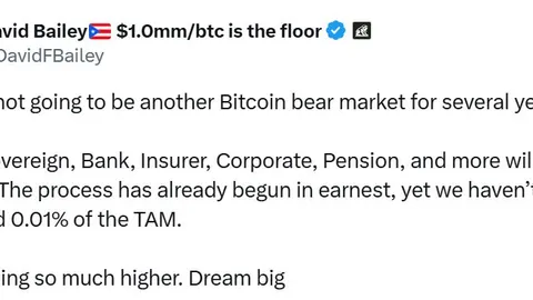Bitcoin bear market is likely years away: Trump adviser David Bailey