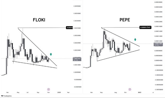 Memecoin Rally: Apakah Floki dan Pepe Akan Naik Hingga 200% Minggu Depan November 2024? image 0