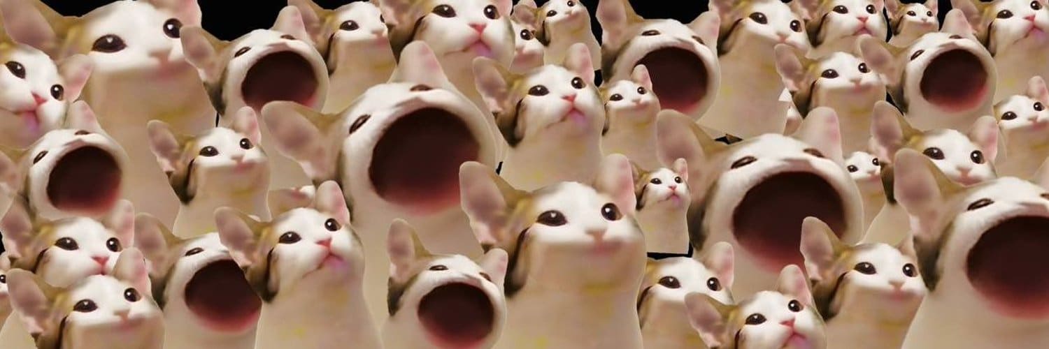 Popcat Soars To New All Time High – New Meme Coin Push Coming image 0
