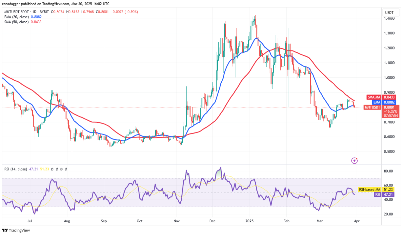 4 altcoin này trụ vững trước sóng gió khi Bitcoin tiếp tục suy yếu image 6