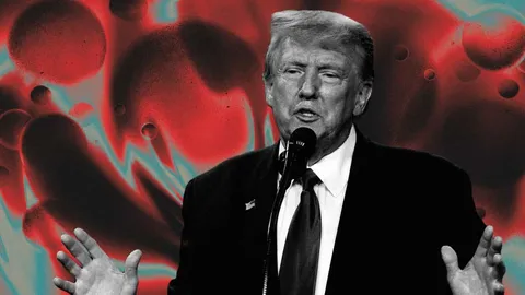 Donald Trump revendique la hausse du marché boursier et les records historiques du bitcoin : « L'effet Trump »