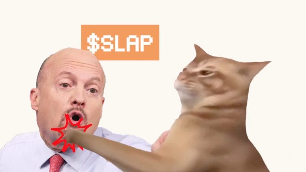 Le MOG chute de 19 %, le mème coin Catslap ($SLAP) en hausse de 25 %, les signaux d’achat sont au vert, bientôt un listing sur un CEX ? image 0