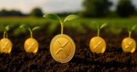 Nature's Miracle lanza tesorería XRP de $20M, apunta a generación de rendimiento a largo plazo mediante staking