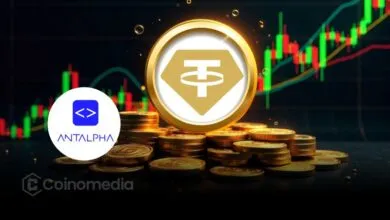 Antalpha inwestuje 134 mln USD w Tether Gold (XAUT)