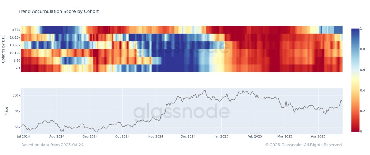 glassnode：比特幣巨鯨持續囤幣，累積指標維持高檔