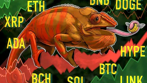 Прогнози цін 11/12: BTC, ETH, XRP, BNB, SOL, DOGE, ADA, HYPE, LINK, BCH