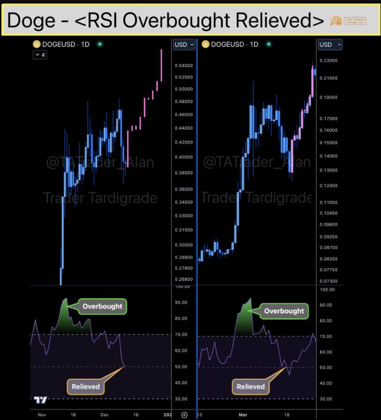 Dogecoin (DOGE) có thể tăng giá “bất kỳ lúc nào”, theo TOP nhà phân tích image 1