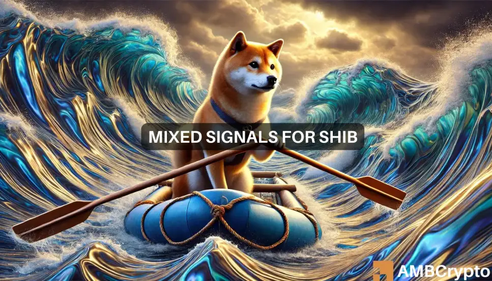 Shiba Inu价格预测——评估SHIB触及当地新低的可能性