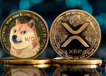幣圈新篇章！全美首檔瑞波幣、狗狗幣 ETF 本周亮相
