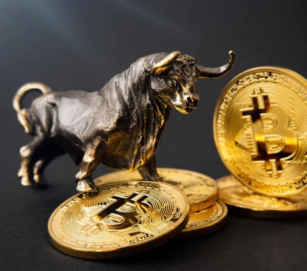 ‘Bitcoin bull cycle is over,' CryptoQuant CEO warns, citing onchain metrics