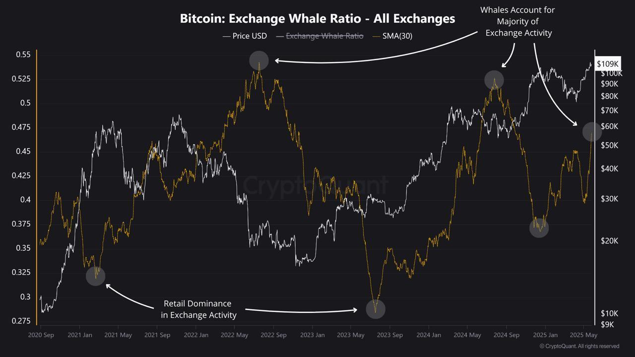 Bitcoin Whale Activity Signals Warnings for the Market | Weekly Whale Watch image 0
