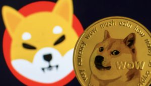 Apakah Shiba Inu akan Mengungguli Dogecoin? Begini Pandangan Para Ahli Crypto!