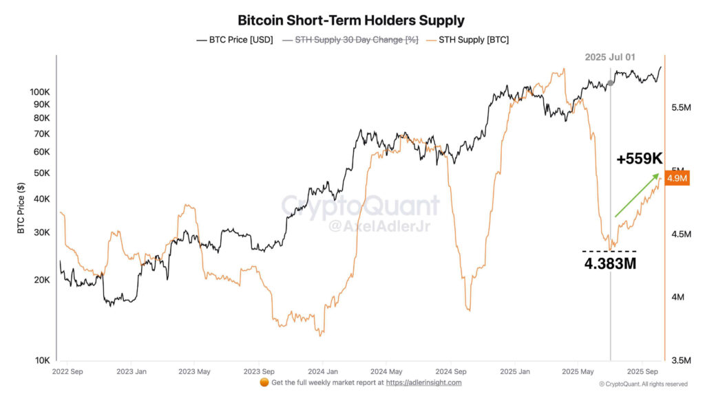 ارتفاع حيازات Bitcoin قصيرة الأجل بمقدار 559 ألف BTC مع تحقيق ربحية بنسبة 99.4% قد يشير إلى تجدد ثقة السوق image 0