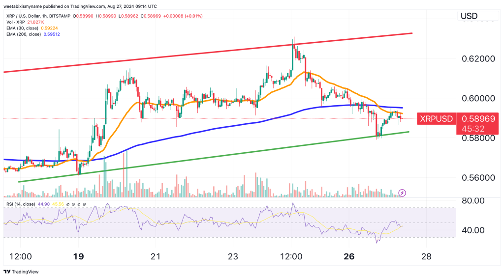 Chiến thắng pháp lý có thể đẩy giá XRP lên 1 USD? image 1