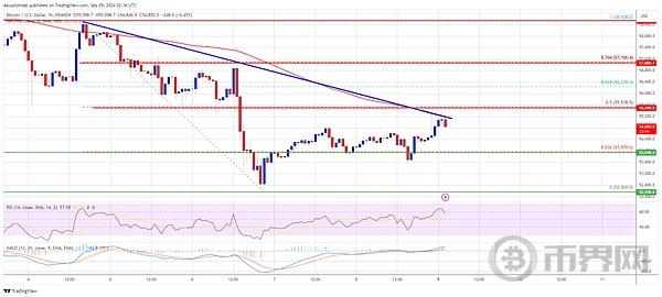 BTC 触发反弹 历史模式下,下行趋势将会重现? image 1