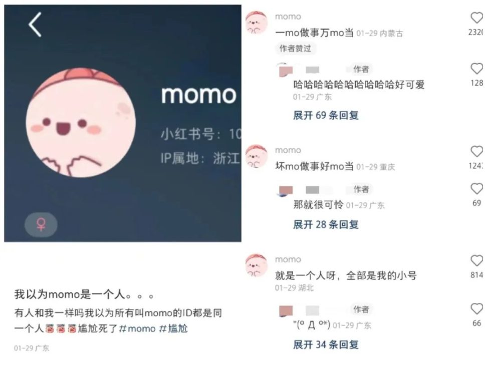 新 Meme 風潮來襲,小紅書火進幣圈的秘密 image 3