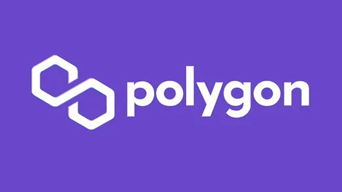 Polygon зміцнює екосистему RWA завдяки запуску rcUSD+ від R25 Protocol