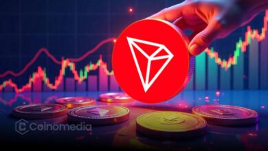TRON Hits Record High in Network Activity