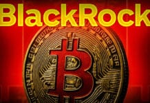 BlackRock verkauft 2.544 BTC – größter ETF‑Abfluss seit Monaten! Wird der Finanz-Gigant plötzlich bearish?