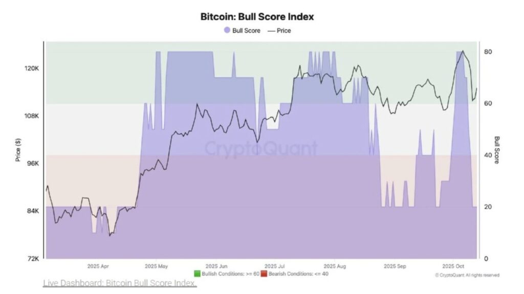 Pasar Crypto di Ambang Bear Market? Aksi Whale dan Gelombang Ketakutan Jadi Sinyal Bahaya image 2