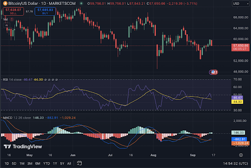 Triple Top Bearish Bitcoin: Peringatan Mengerikan Schiff untuk Hodlers image 1