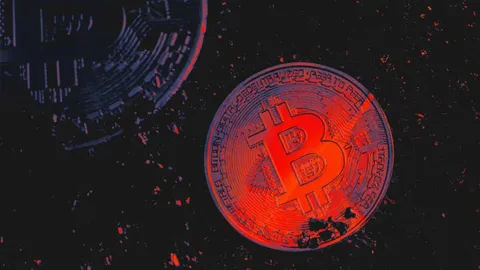 Биткойн достигает нового исторического максимума, поскольку рисковые активы восстанавливаются после апрельских минимумов