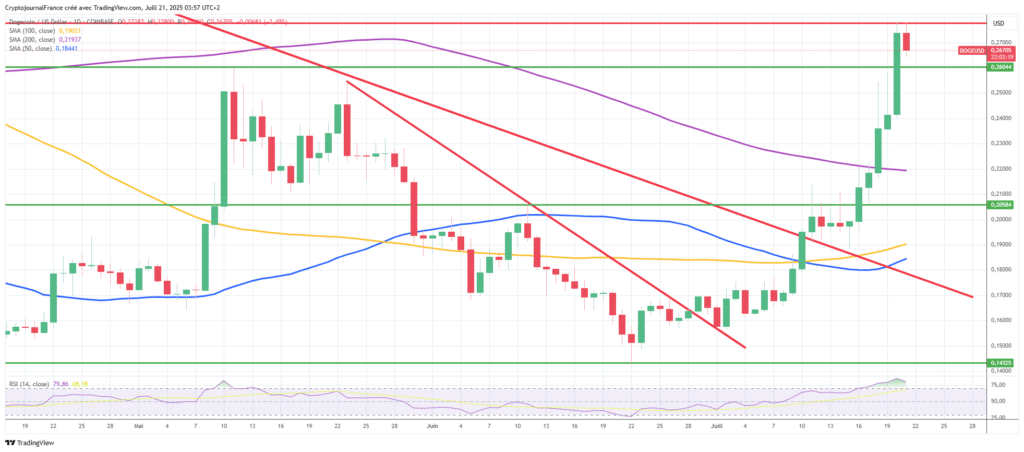 Dogecoin explose de +47 % en 5 jours : Retour en force du roi des mème-coins ? image 3
