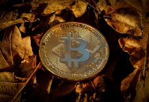 Massiver Bitcoin-Verkauf: Hängt der 80.000 BTC-Transfer mit dem Wallet-Skandal von 2011 zusammen?