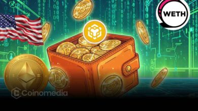 US Government Wallet Adds BNB, WETH & ETH Worth $34M