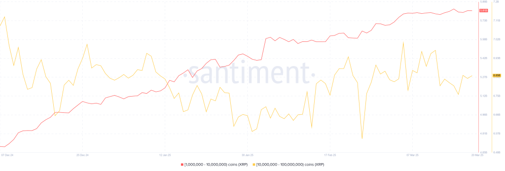 New Data: XRP Whale Holdings are Surging – Is a Big Breakout Coming? image 1