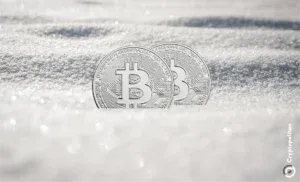 Bitcoin reserves on centralized exchanges hit five-year low amid increased hodling