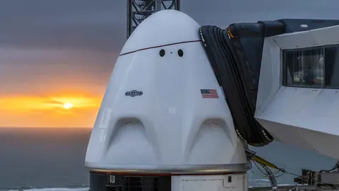 SpaceX переместила биткоин на сумму $270 миллионов в первой транзакции с июля: Arkham