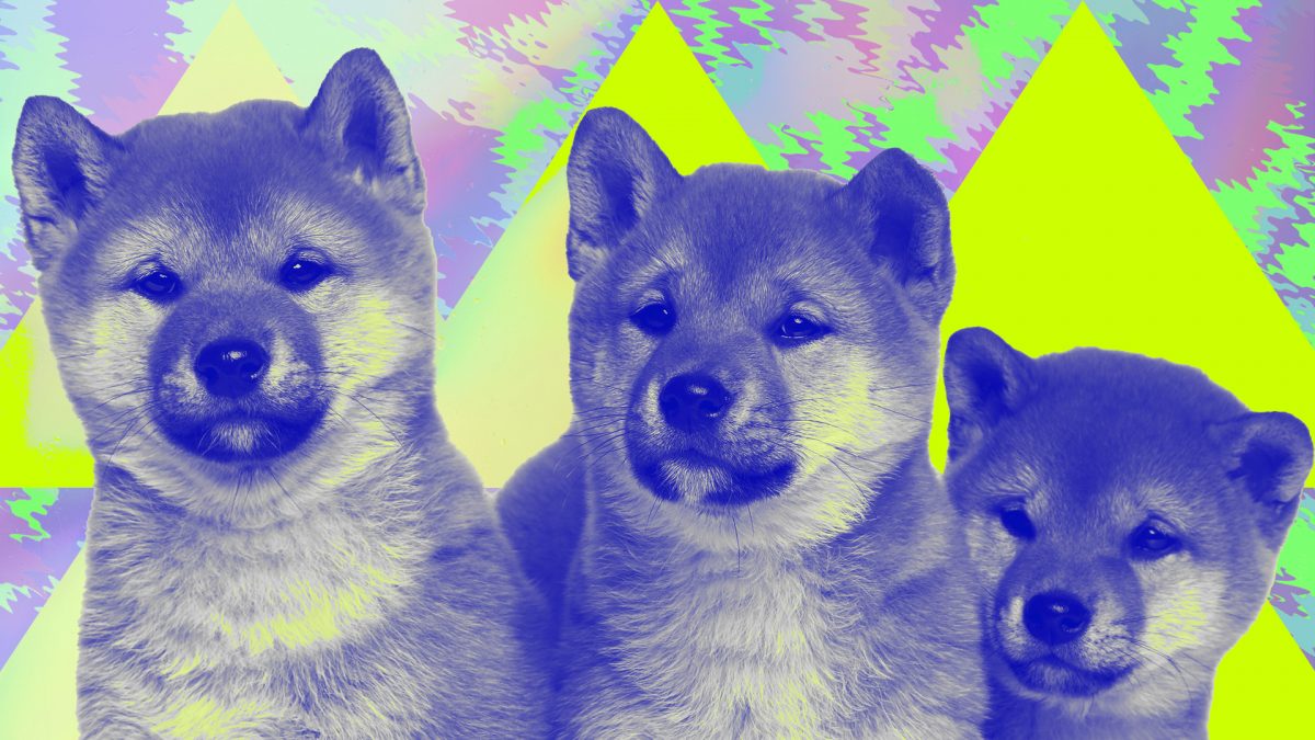 Thumzup approuve un plan de rachat d’actions de 10 millions de dollars avant l’acquisition d’une activité de minage de Dogecoin image 0