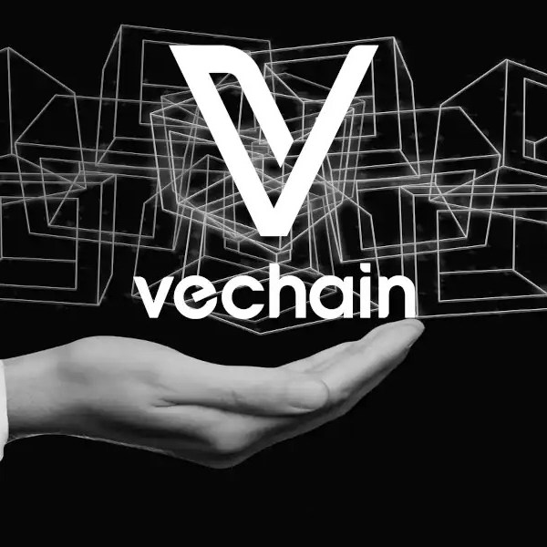 VeChain 加速机构合作进程,迎来 BitGo、Keyrock 与富兰克林邓普顿三大伙伴