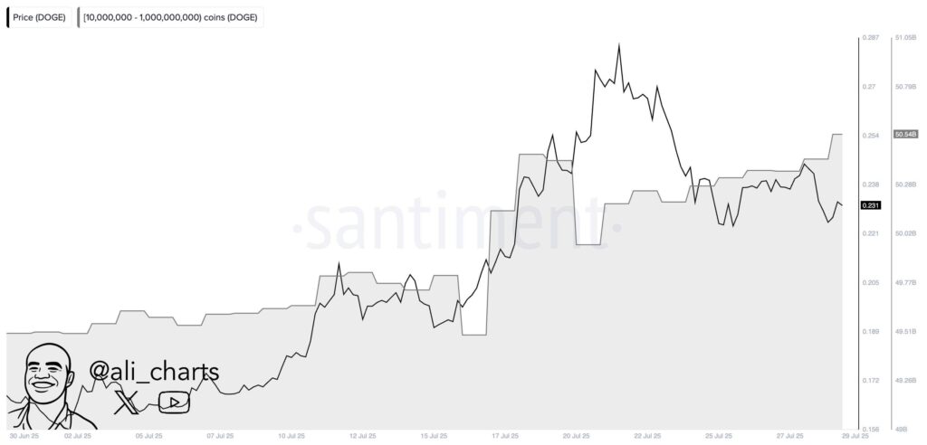 Dogecoin Whales May Be Accumulating Amid Price Swings, Indicating Potential Long-Term Confidence image 1
