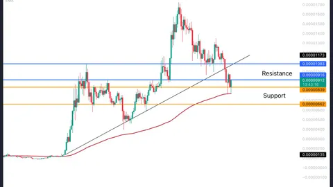 Memecoins $PEPE, $WIF, and $BONK bounce from important levels
