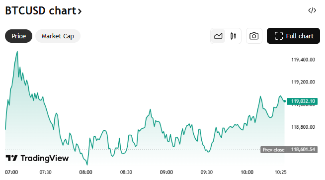 Bitcoin Reli ke US$119.000 di Tengah Krisis Shutdown AS image 0