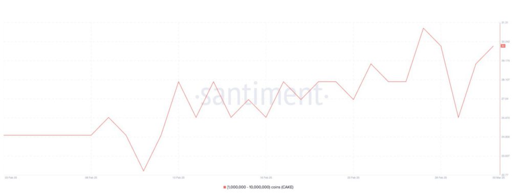 3 Crypto yang Diburu Para Whale Selagi Pasar Crypto Crash! image 1