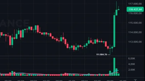 Bitcoin Soars to $117 on Expectations of Interest Rate Cut