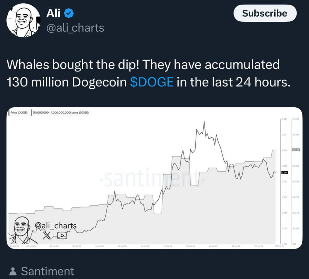 تدفقات DOGE الخارجة ترتفع: هل يلوح في الأفق ارتفاع سعر الدوجكوين بنسبة 35%؟ image 0