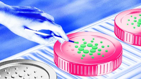 Cardano ETF Approval Odds Hit 80% for 2025 as Grayscale Sparks ADA Rally