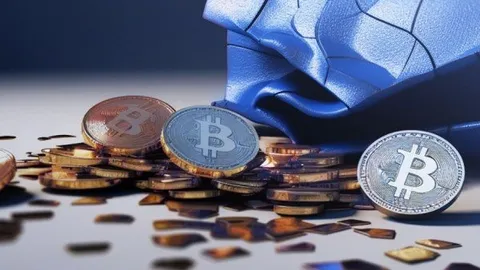 Chính phủ Mỹ đã chuyển 14 tỷ USD giá trị bitcoin như thế nào?
